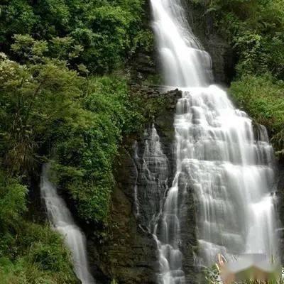 人间烟火红红火火 年货节开启囤健康果汁 团圆聚餐就喝山楂树下